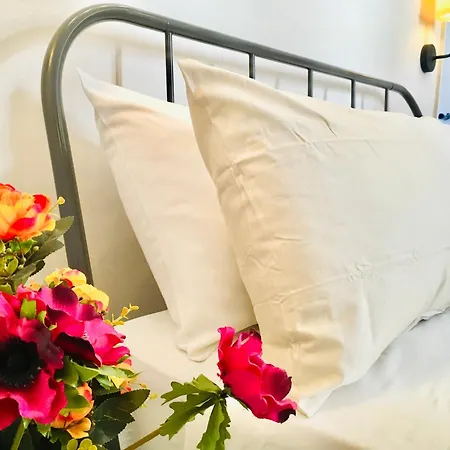 Re Borbone 切法卢